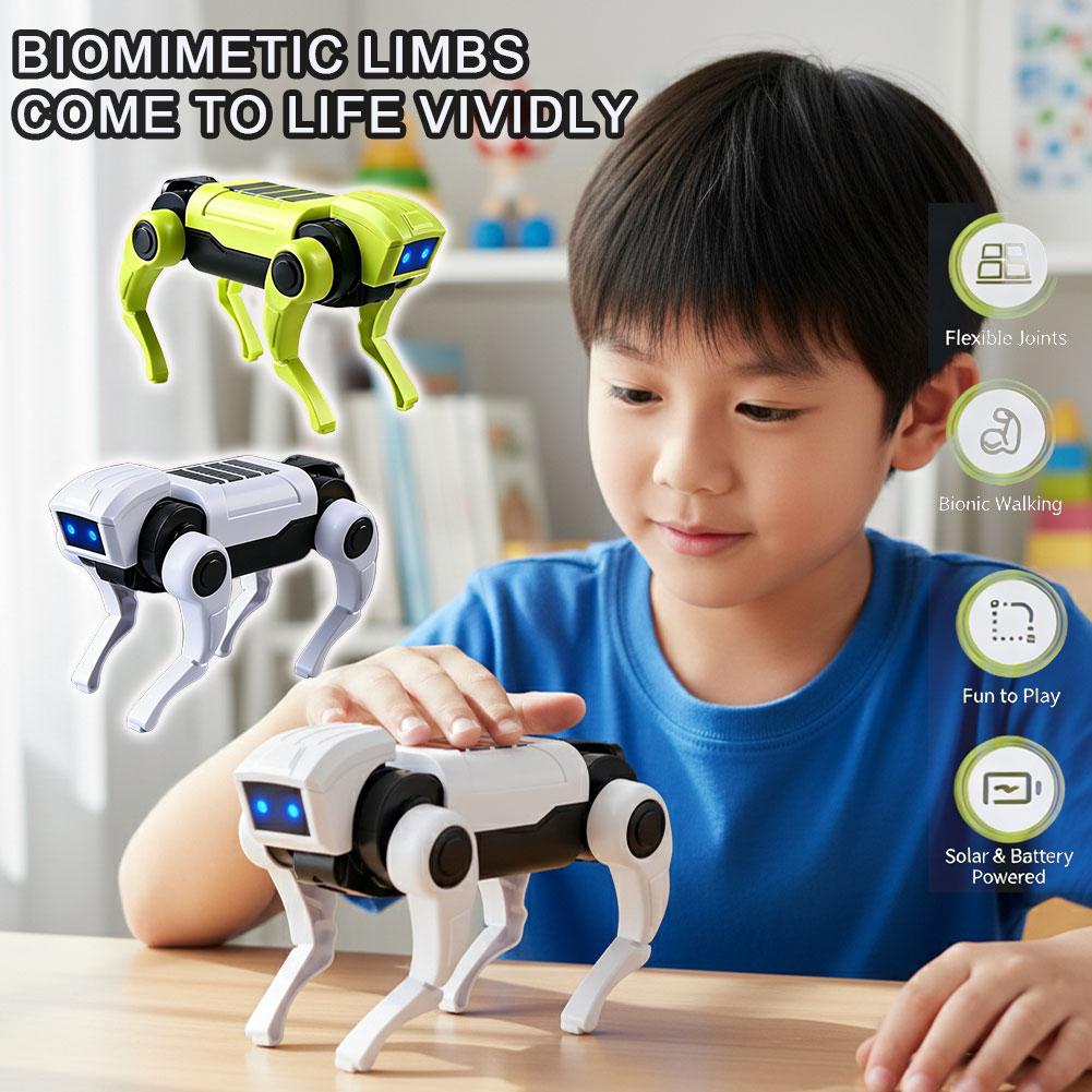Science Toys Diy - DIY Montage RC Roboterhund Spielzeug Ferngesteuerter