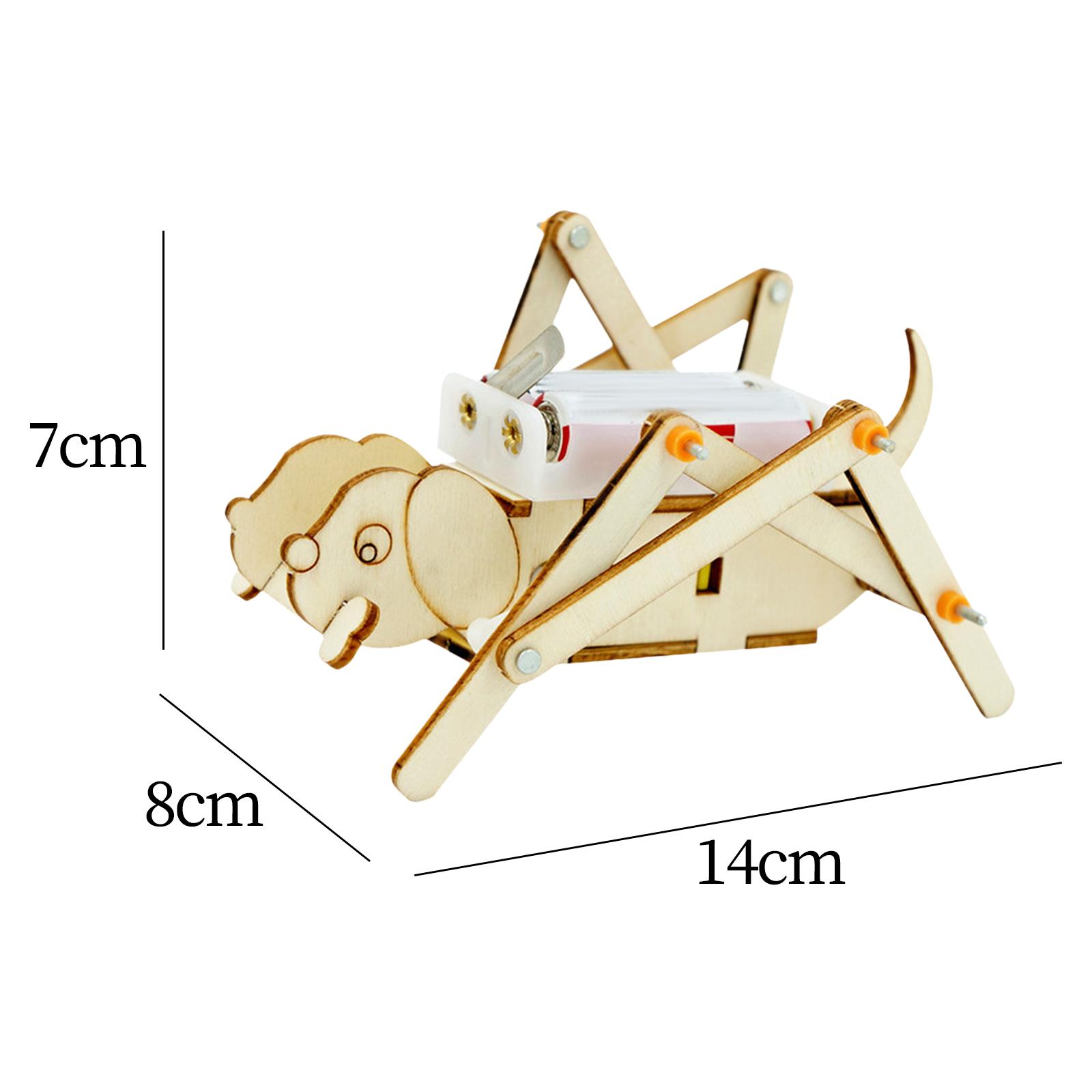 DIY Holzmodellbausatz Wissensc – Science Project Toys Making Bewertung und Preis