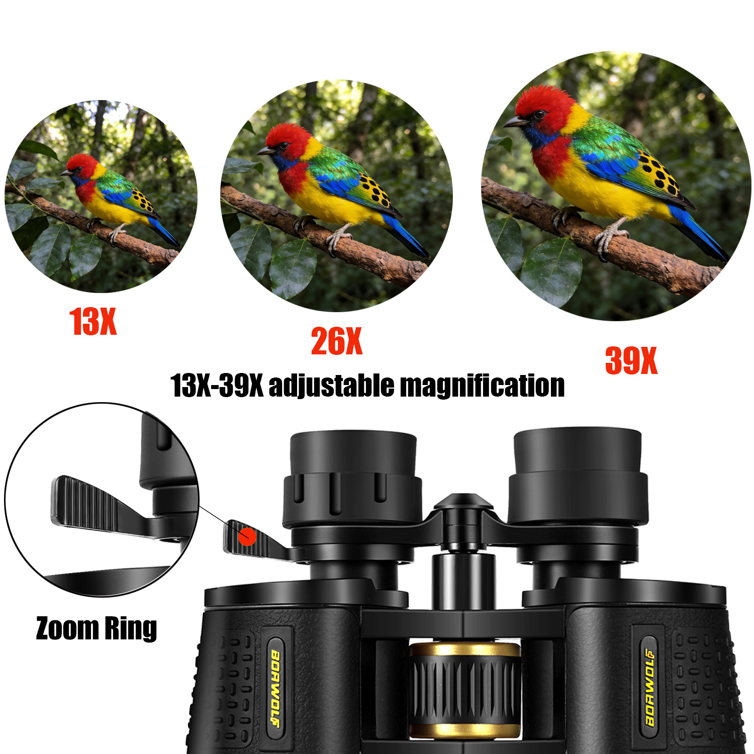 BORWOLF 13-39X70 ED Hochvergrö – National Geographic Telescope 70Mm Bewertung und Preis