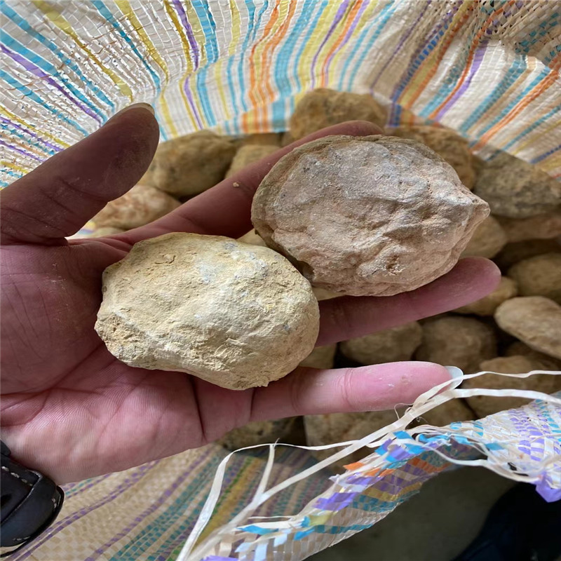 Brechen Sie Ihre eigenen Geode – Geode Crystal Break Bewertung und Preis