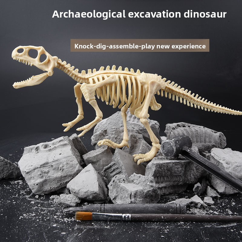 Dinosaurier-Fossil-Ausgrabungs – Science Kit Bewertung und Preis
