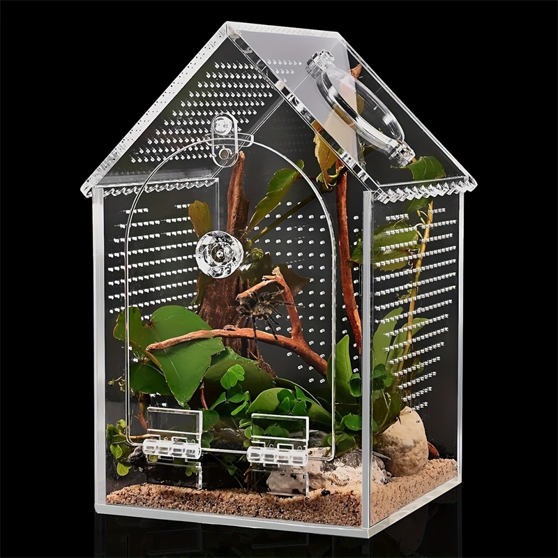 Transparente Acryl-Insektenbox – Science Hobbyist Bewertung und Preis